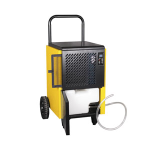 Kibernetik Bauentfeuchter B50