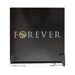 Kibernetik BSC Young Boys FAN Getränkekühlschrank