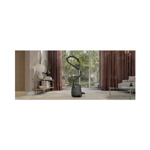 Electrolux Staubsauger EB61C2GRN