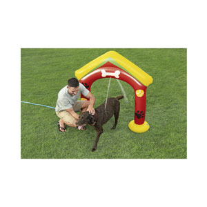 Bestway Fetchin' Fun Wassersprinkler für Haustiere