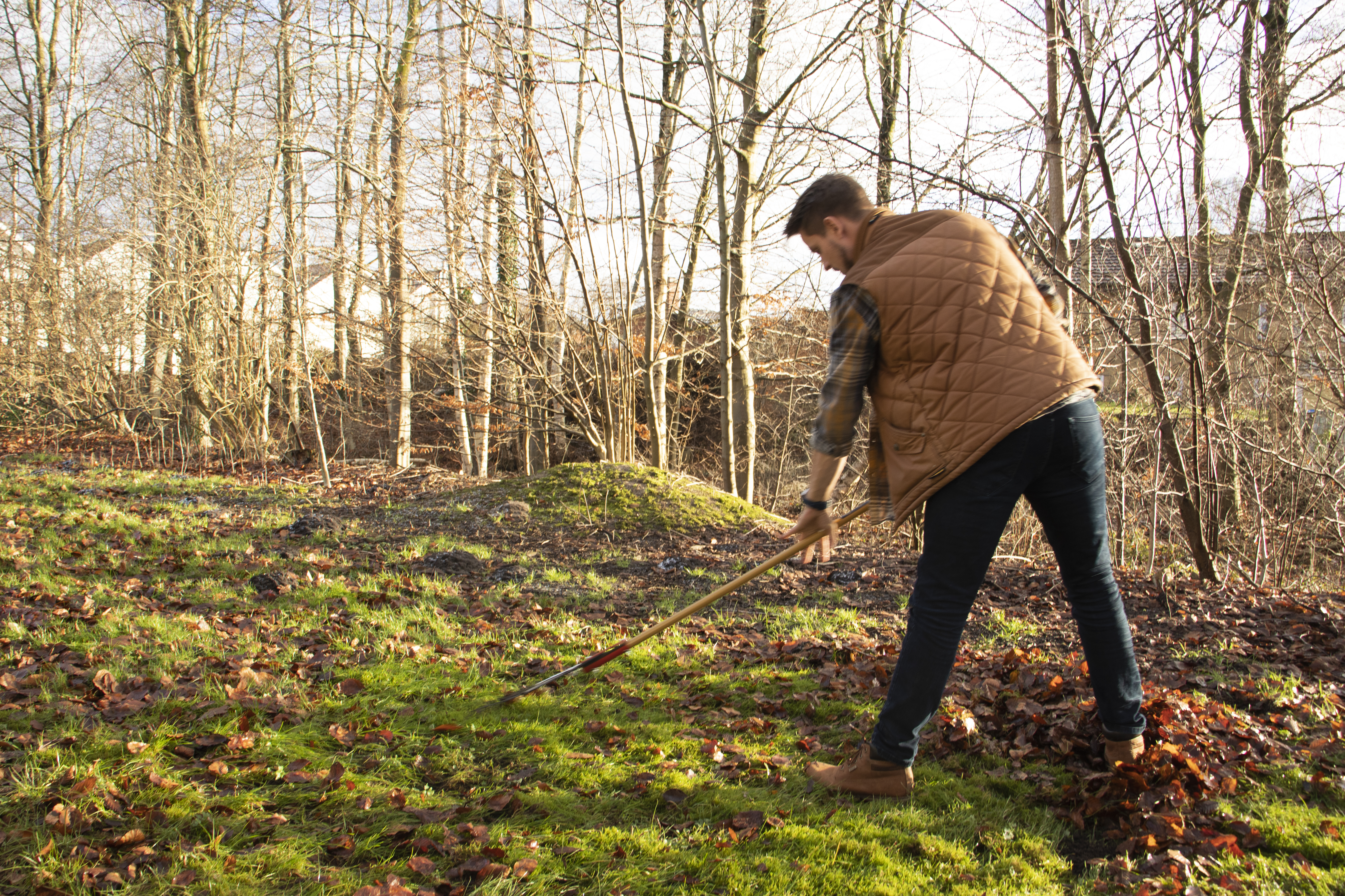 Rasenrechen, K19-150_3