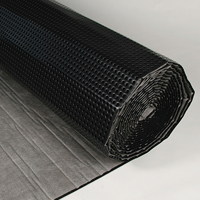 Noppenbahn mit Vlies 2x12,5m schwarz