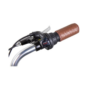 Phoenix Alloy City Bike Lady