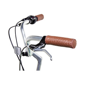 Phoenix Alloy City Bike Lady