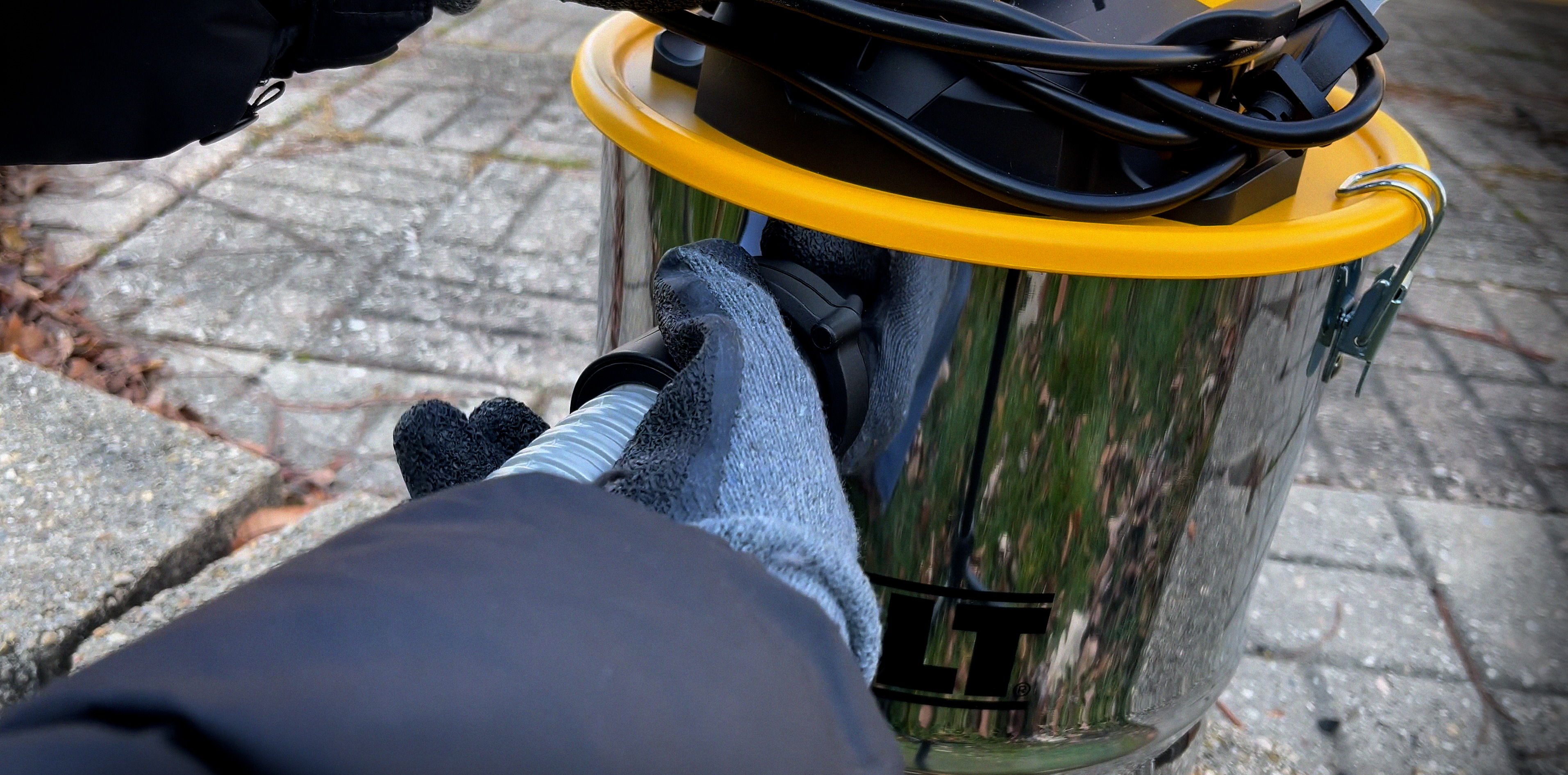 Aschesauger, DXV15A_4