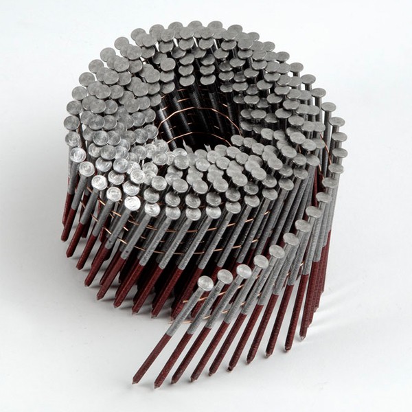 Rollnagel Typ C16R 2,5/2,8x70mm blank