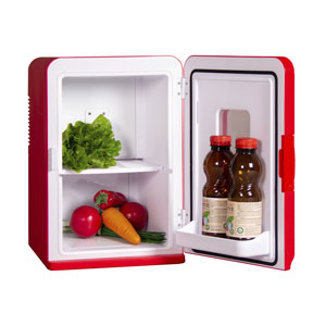 Weber Home MKS15L Mini Kühlschrank 12V