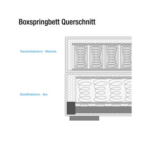 naturoo Boxspringbett Marcel 160x200cm beige inkl. Premium Topper & LED Beleuchtung