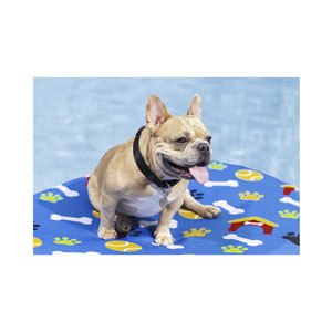 Bestway Fetchin' Fun Luftmatratze für Haustiere