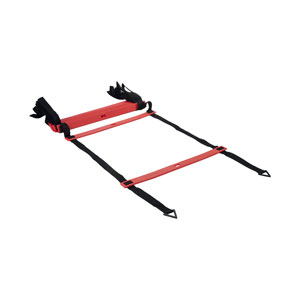 PURE2improve Trainingsleiter Pro