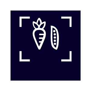 Siemens KI42LADD1H Einbau-Kühlschrank