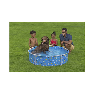 Bestway Fetchin' Fun Pool für Haustiere