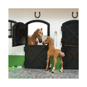 MICKI Stall mit Koppel