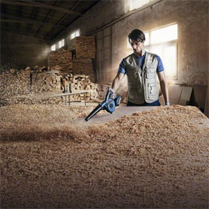 Bosch GBL 18V-120 Akku Gebläse