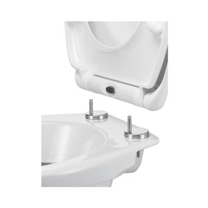 FS-Star WC-Sitz aus Duroplast mit Schnellverschluss und Soft Close