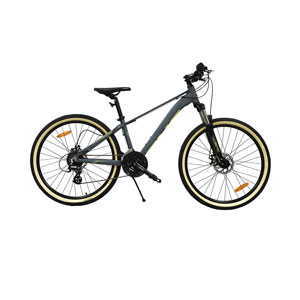 Phoenix Mountainbike 26 Zoll grau / gelb