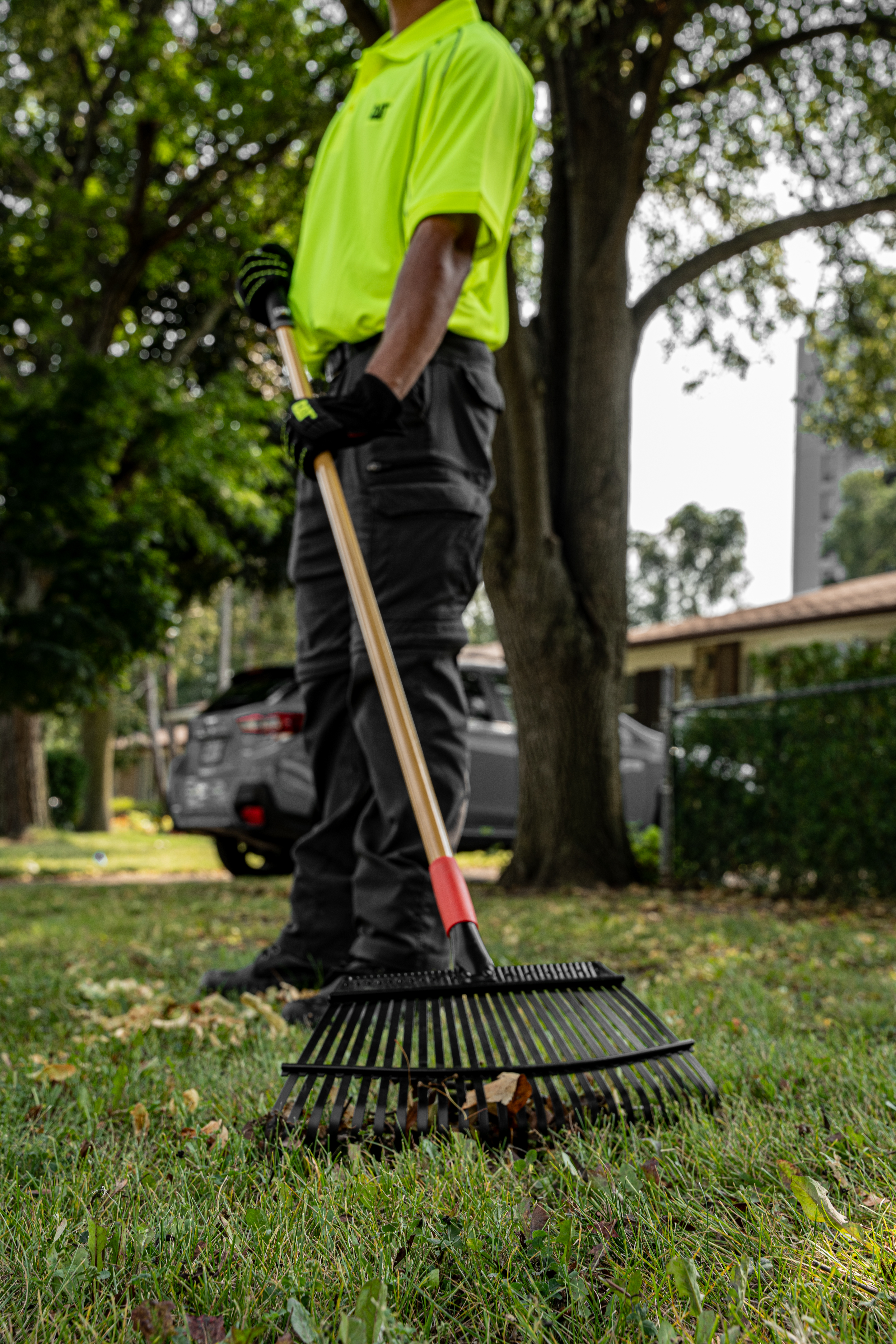 Rasenrechen, K19-151_1