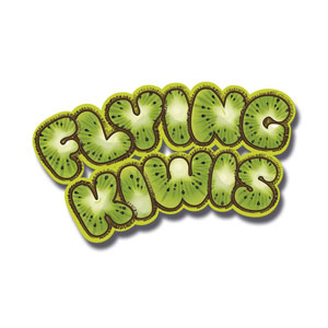 Huch! 880963-10 Familienspiel Flying Kiwis