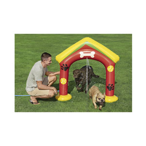 Bestway Fetchin' Fun Wassersprinkler für Haustiere