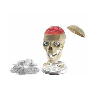 Clementoni 59221 Galileo LAB verrückte Anatomie