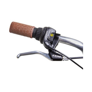 Phoenix Alloy City Bike Lady