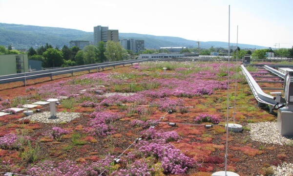 Flachdachdämmung mit Jackodur XPS im Umkehrdachaufbau