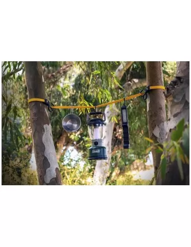 Spannseil 2er-Set, CAT, 980901ING_3